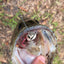 Swamp Walker - Premium Hollow Body Fishing Lure