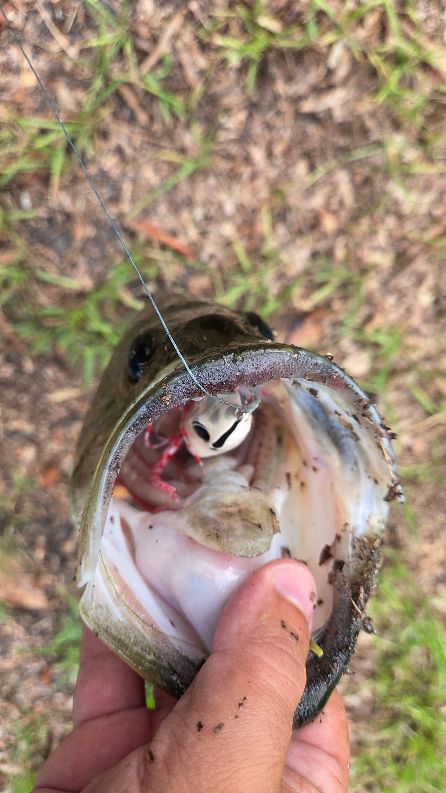 Swamp Walker - Premium Hollow Body Fishing Lure