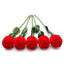 Elegant Red Rose Jewelry Box for Rings and Earrings