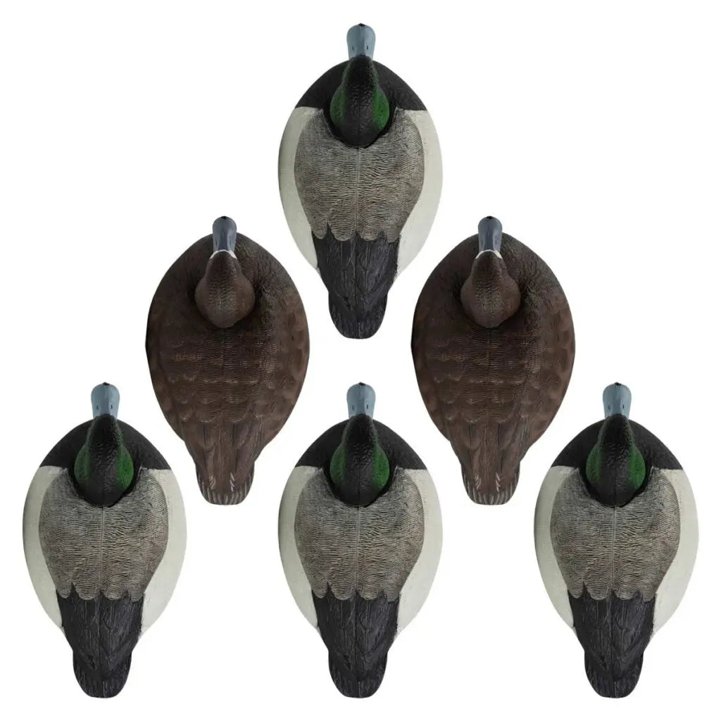 Decoys de espuma llenos de Bluebill de la serie Rugged