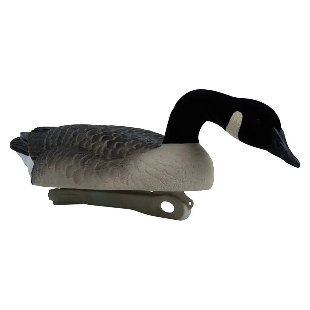 Decoys Flotantes Canadá Goose Serie Rugged – Paquete de 6 con Cabeza Aterciopelada