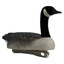 Decoys Flotantes Canadá Goose Serie Rugged – Paquete de 6 con Cabeza Aterciopelada