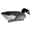 Decoys Flotantes Canadá Goose Serie Rugged – Paquete de 6 con Cabeza Aterciopelada