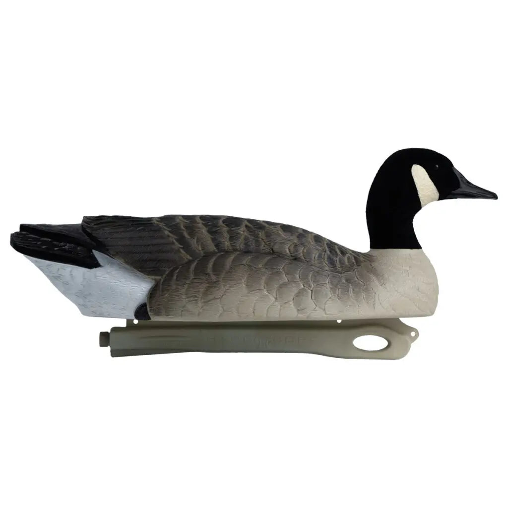 Decoys Flotantes Canadá Goose Serie Rugged – Paquete de 6 con Cabeza Aterciopelada