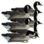 Decoys Flotantes Canadá Goose Serie Rugged – Paquete de 6 con Cabeza Aterciopelada