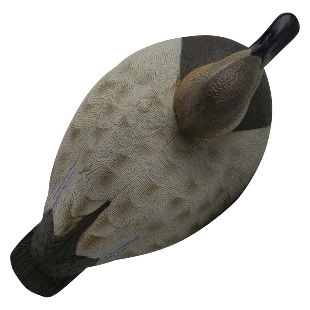 Série Rugged Canard en Toile Remplis de Mousse - Pack de 6