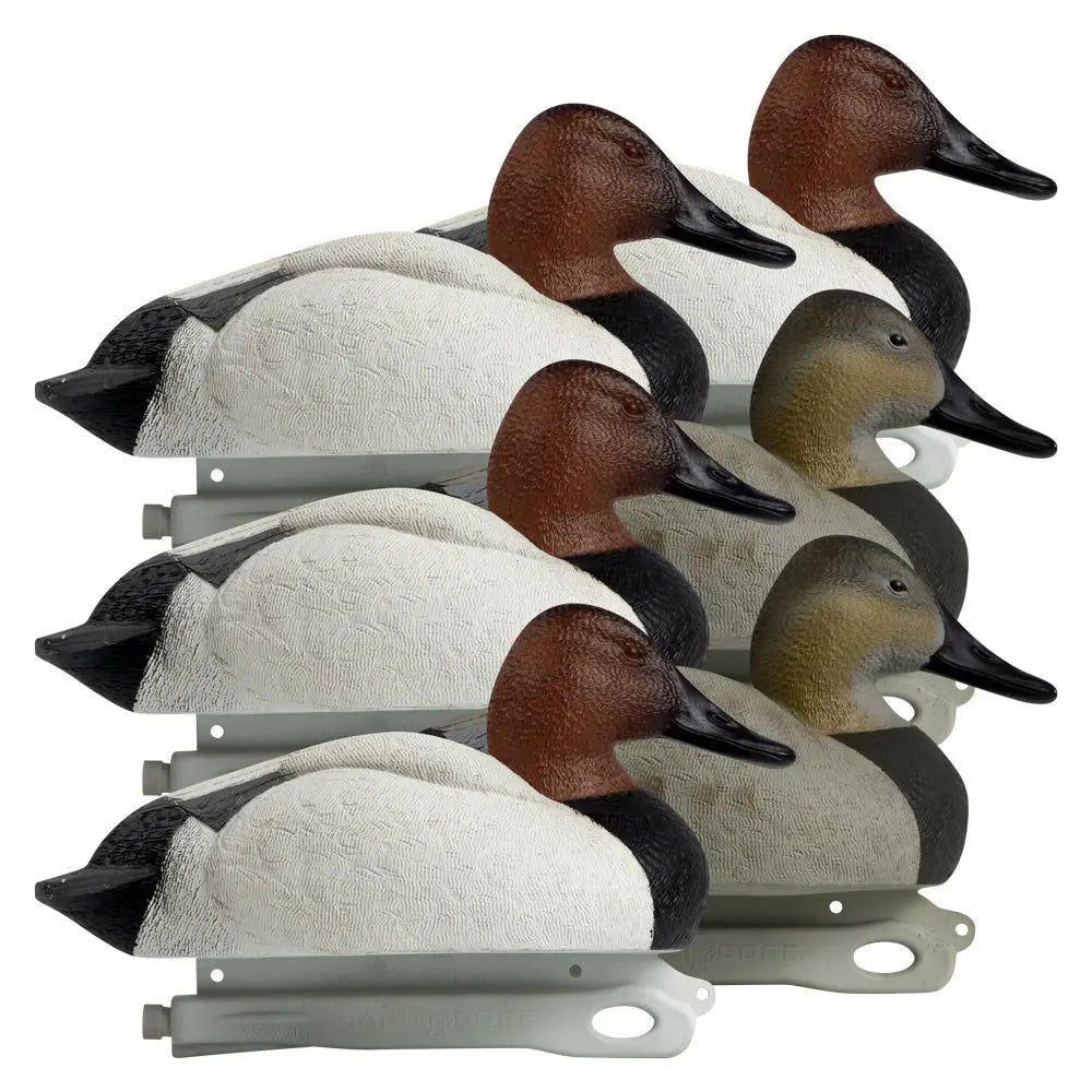 Série Rugged Canard en Toile Remplis de Mousse - Pack de 6