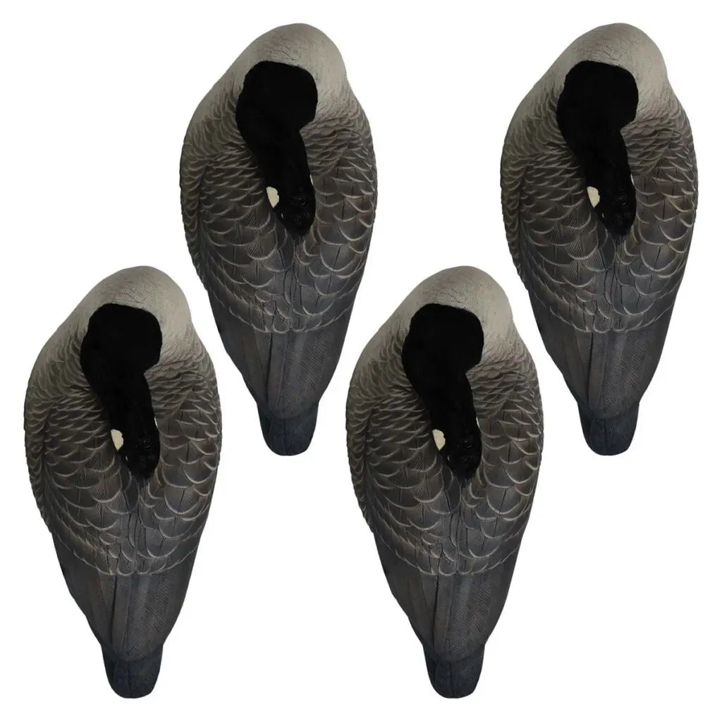 Paquete de 4 Decoys Flocked Head Full Body Canada Sleeper de la Serie Rugged
