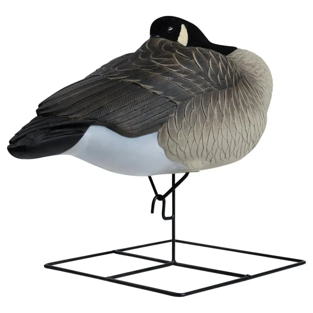 Paquete de 4 Decoys Flocked Head Full Body Canada Sleeper de la Serie Rugged
