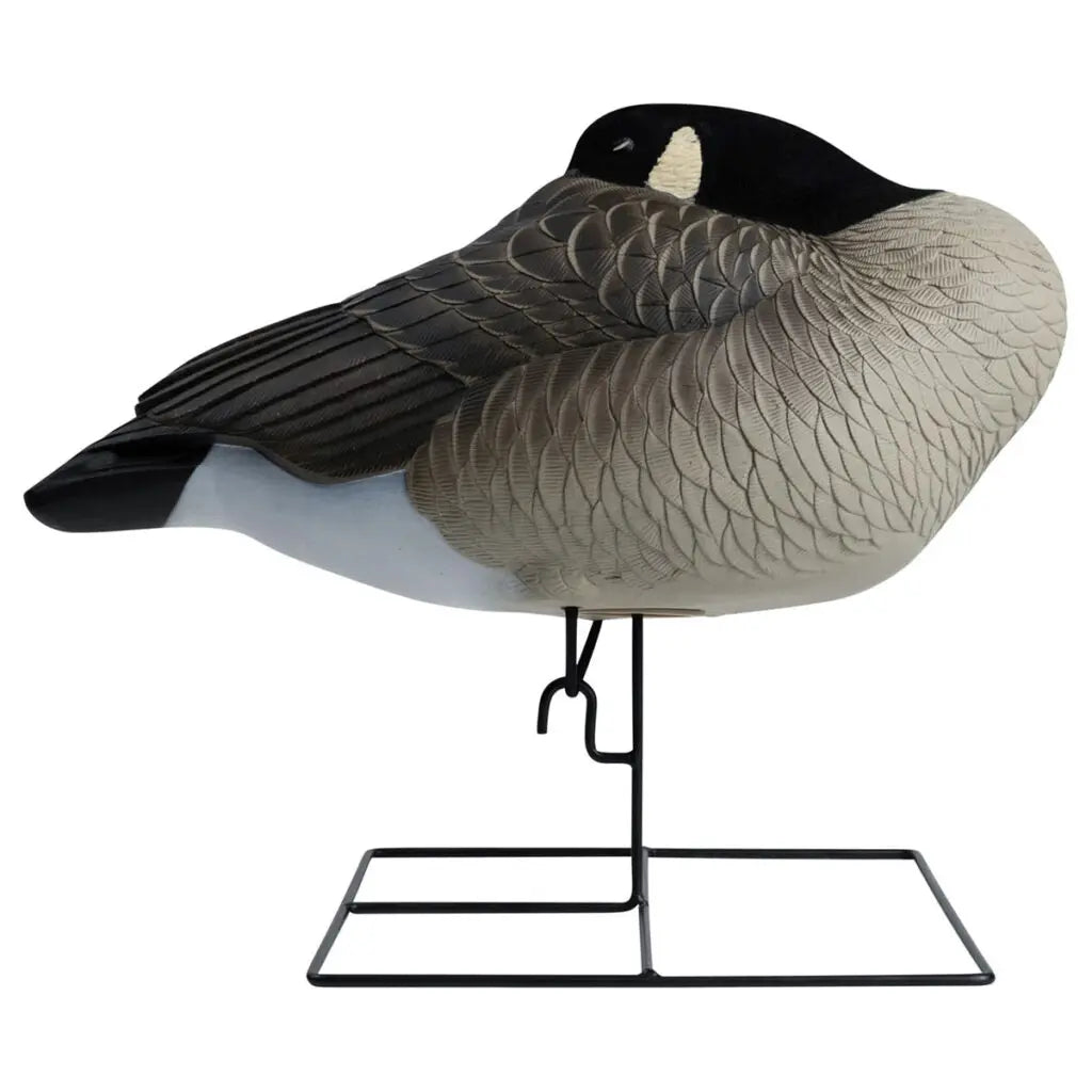 Paquete de 4 Decoys Flocked Head Full Body Canada Sleeper de la Serie Rugged