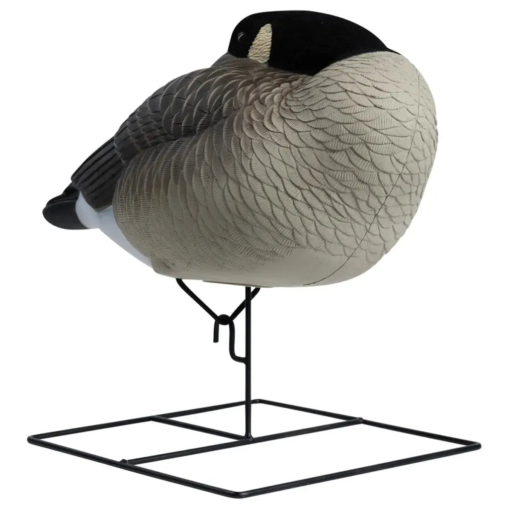Paquete de 4 Decoys Flocked Head Full Body Canada Sleeper de la Serie Rugged