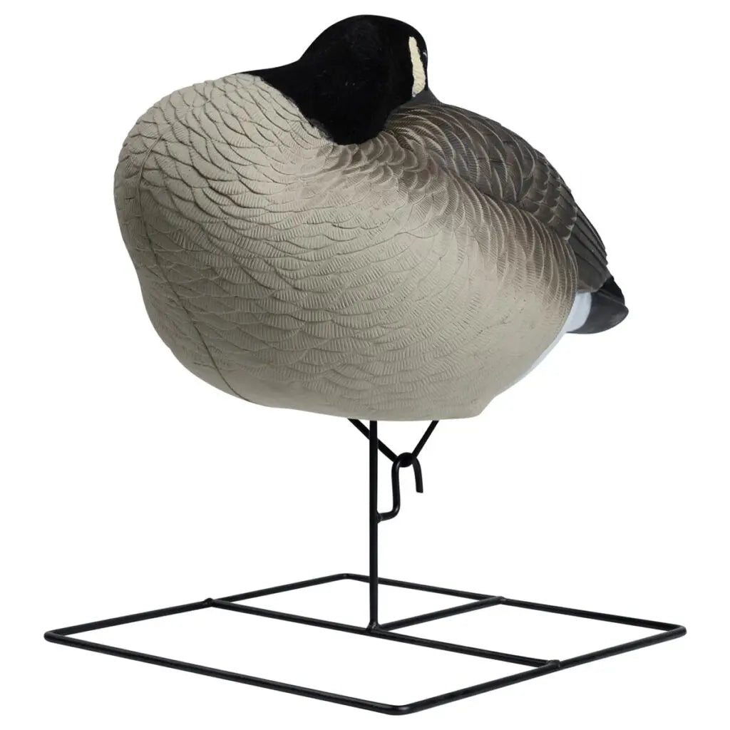 Paquete de 4 Decoys Flocked Head Full Body Canada Sleeper de la Serie Rugged