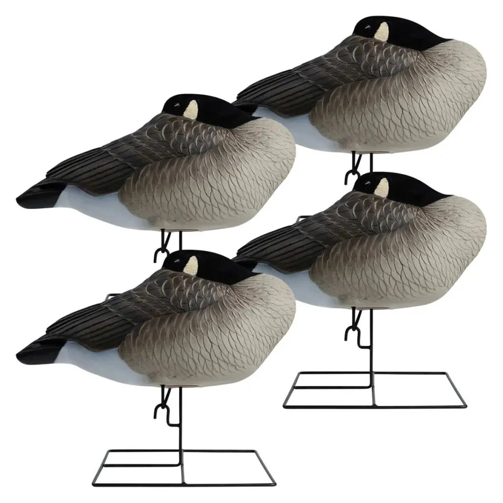 Paquete de 4 Decoys Flocked Head Full Body Canada Sleeper de la Serie Rugged