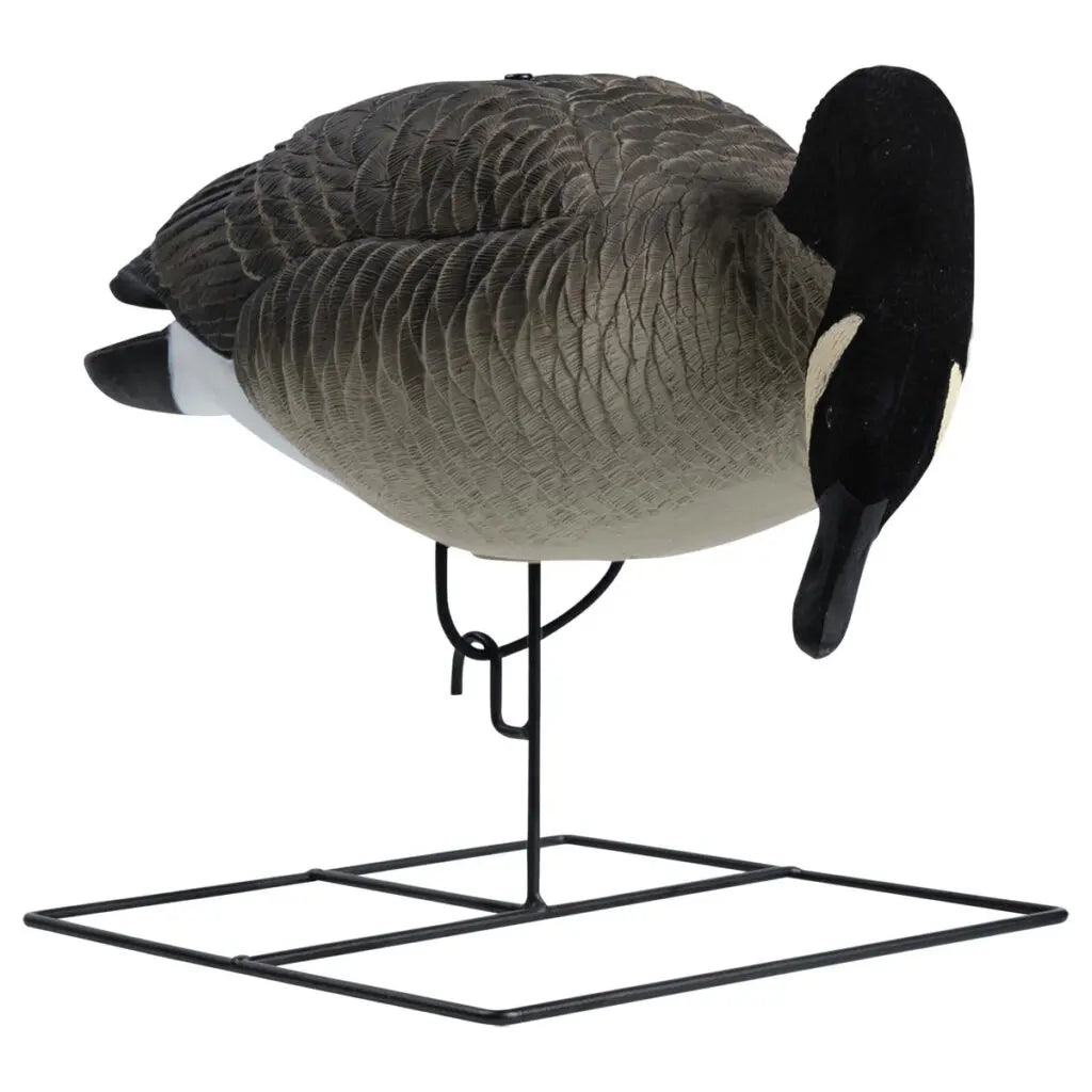 Canards d'alimentation en pleine taille de la série Rugged – Tête en feutre