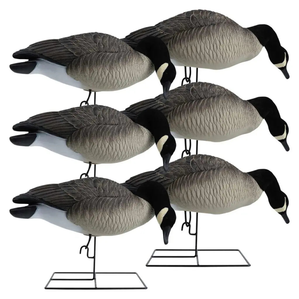 Canards d'alimentation en pleine taille de la série Rugged – Tête en feutre
