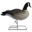 Rugged Series Full Body Canada Goose Decoys with Flocked Heads