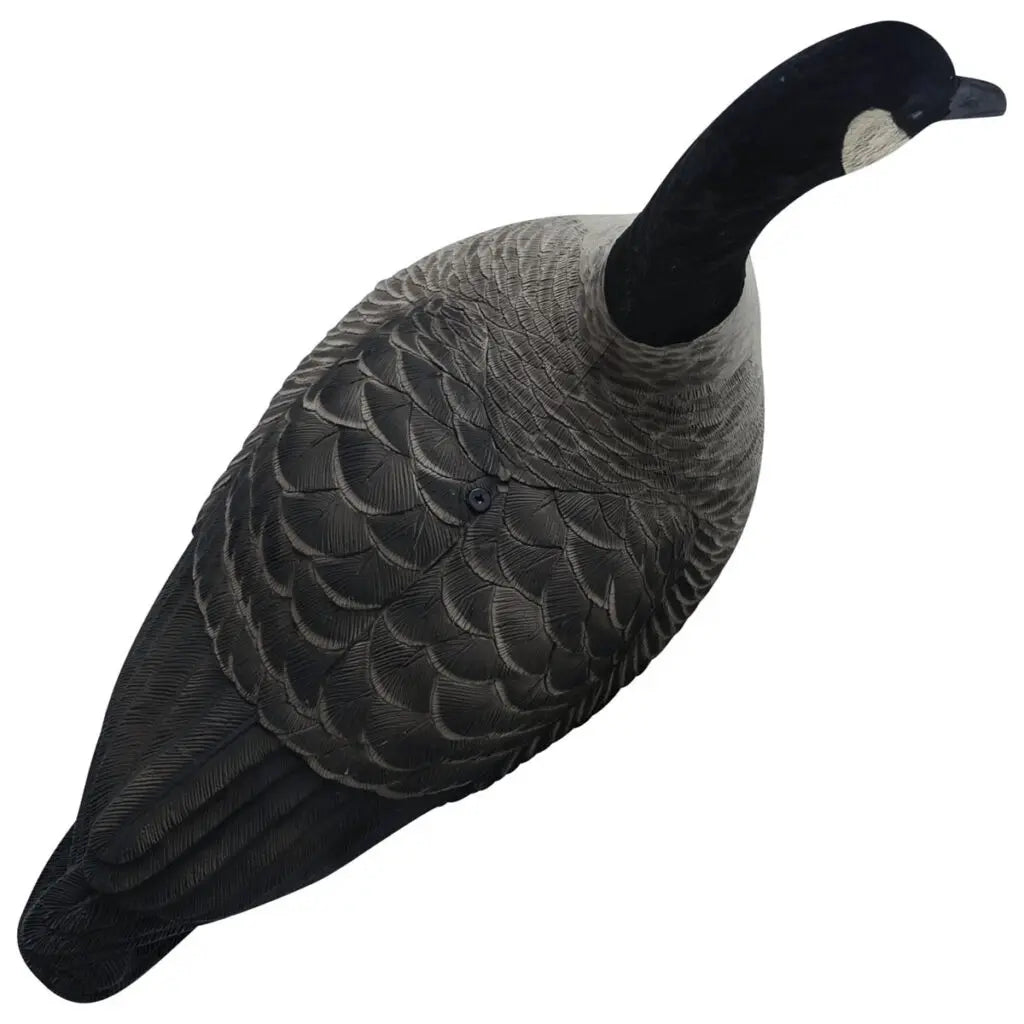 Rugged Series Full Body Canada Goose Decoys with Flocked Heads