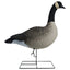 Rugged Series Full Body Canada Goose Decoys with Flocked Heads