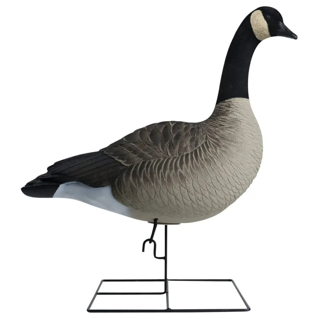 Rugged Series Full Body Canada Goose Decoys with Flocked Heads