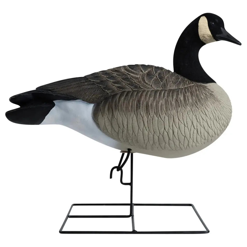 Rugged Series Full Body Canada Goose Decoys with Flocked Heads