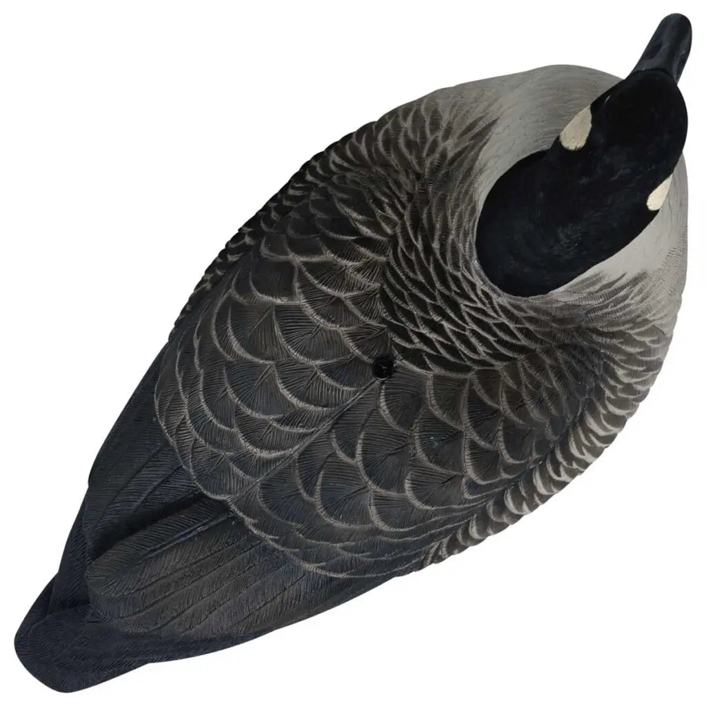Rugged Series Full Body Canada Goose Decoys with Flocked Heads