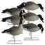 Rugged Series Full Body Canada Goose Decoys with Flocked Heads