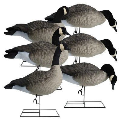 Rugged Series Full Body Canada Goose Decoys with Flocked Heads