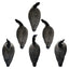 Rugged Series Full Body Canada Goose Decoys with Flocked Heads