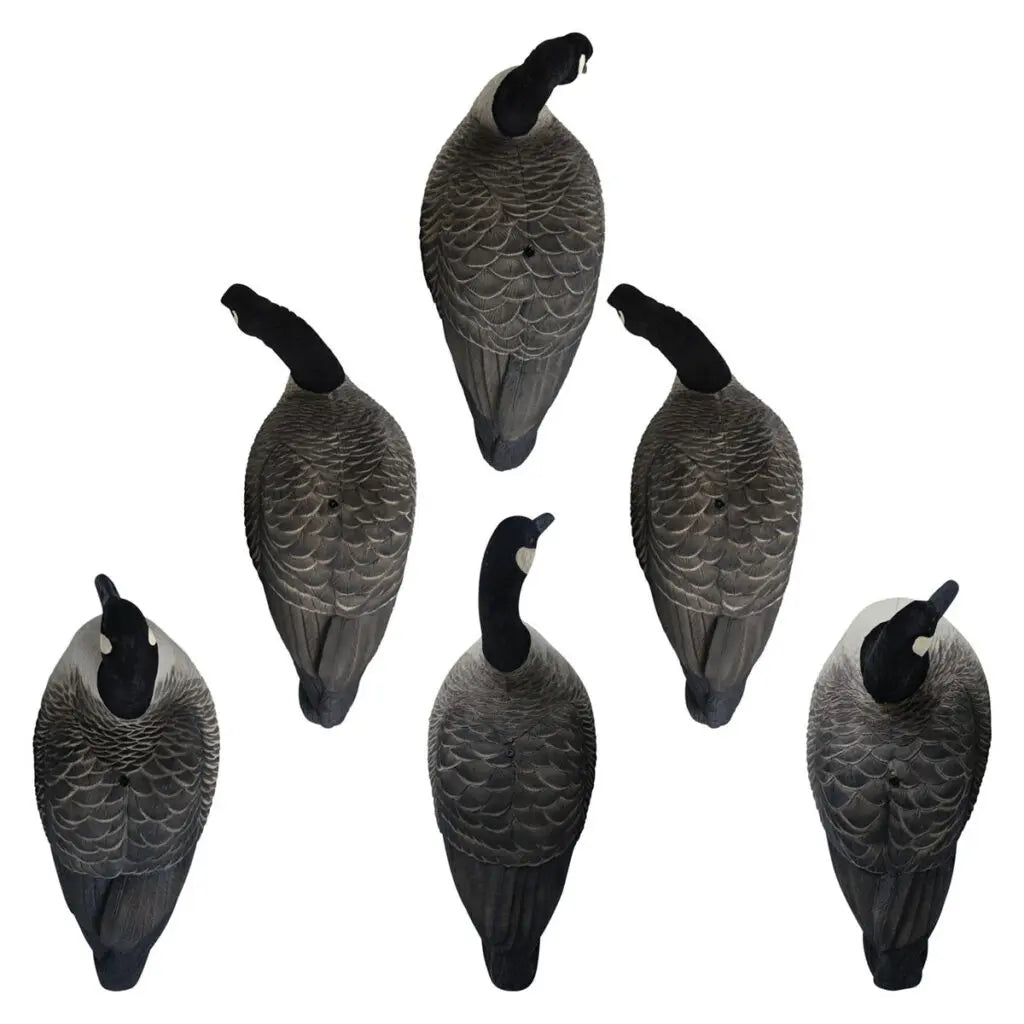 Rugged Series Full Body Canada Goose Decoys with Flocked Heads