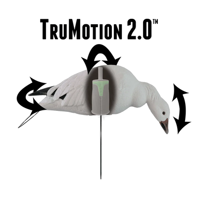 Rugged Series Full Body Snow Goose Decoys 12-Pack