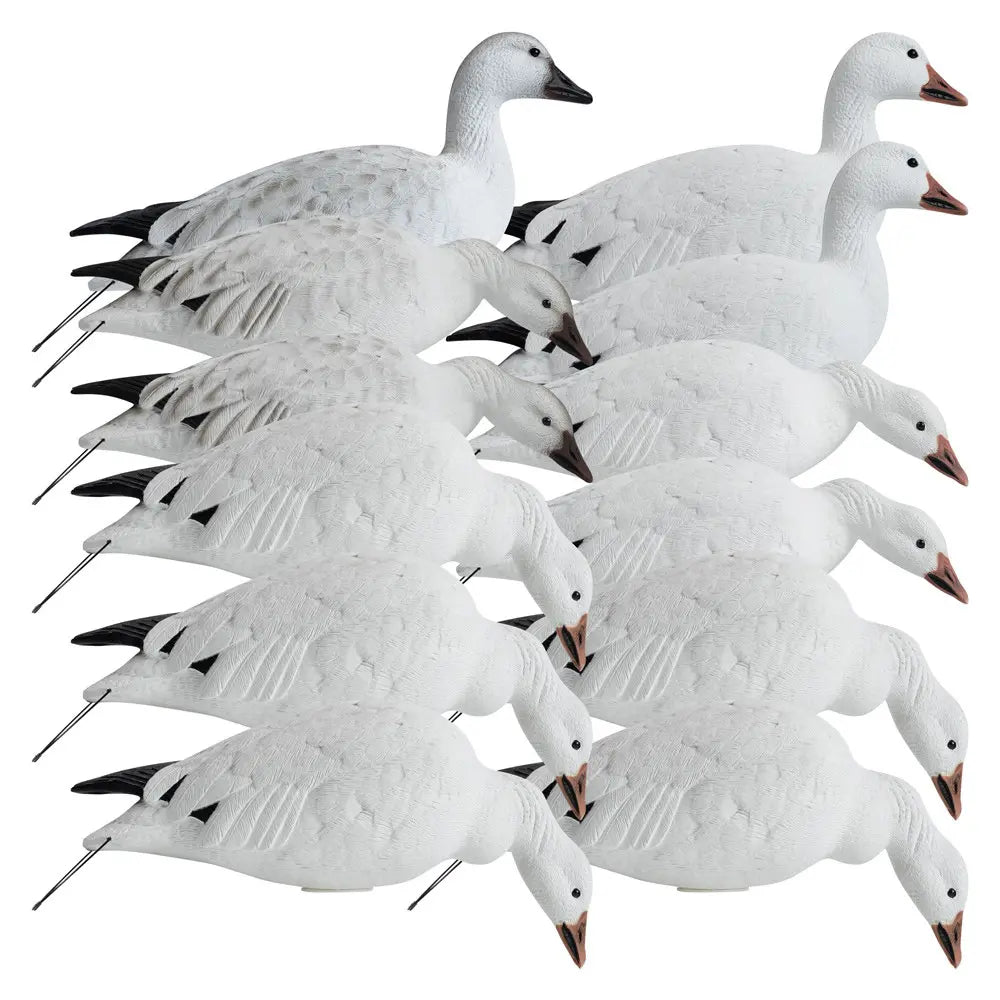 Décoys de Canard des Neiges en Plein Corps Série Rugged 12-Pack
