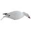 Décoys de Canard des Neiges en Plein Corps Série Rugged 12-Pack