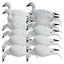 Décoys de Canard des Neiges en Plein Corps Série Rugged 12-Pack