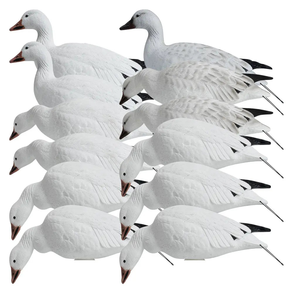 Décoys de Canard des Neiges en Plein Corps Série Rugged 12-Pack
