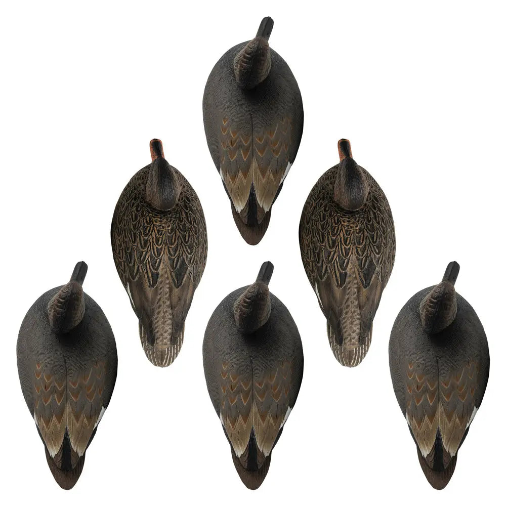 Ultimate Gadwall Decoy Set for Waterfowl Hunting - Korvel