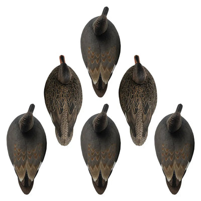 Ultimate Gadwall Decoy Set for Waterfowl Hunting - Korvel