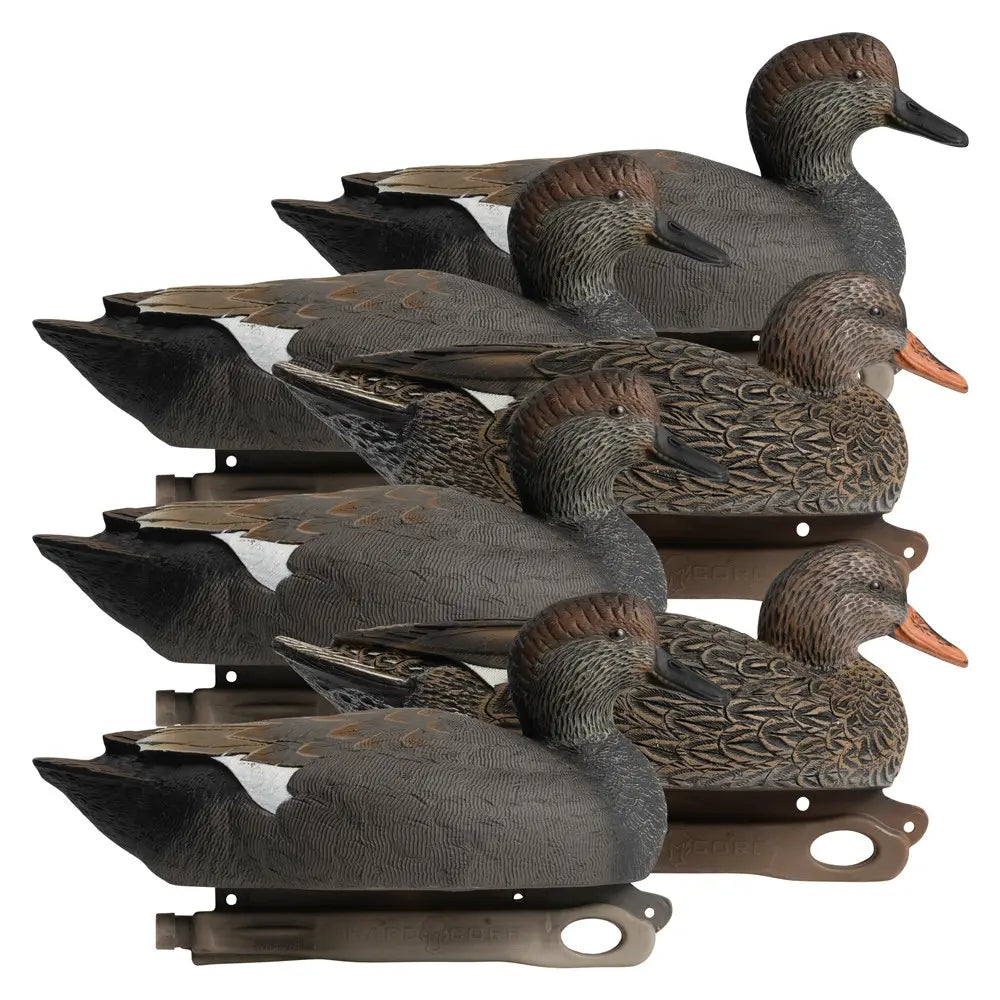 Ultimate Gadwall Decoy Set for Waterfowl Hunting - Korvel