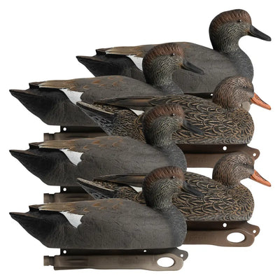Ultimate Gadwall Decoy Set for Waterfowl Hunting - Korvel