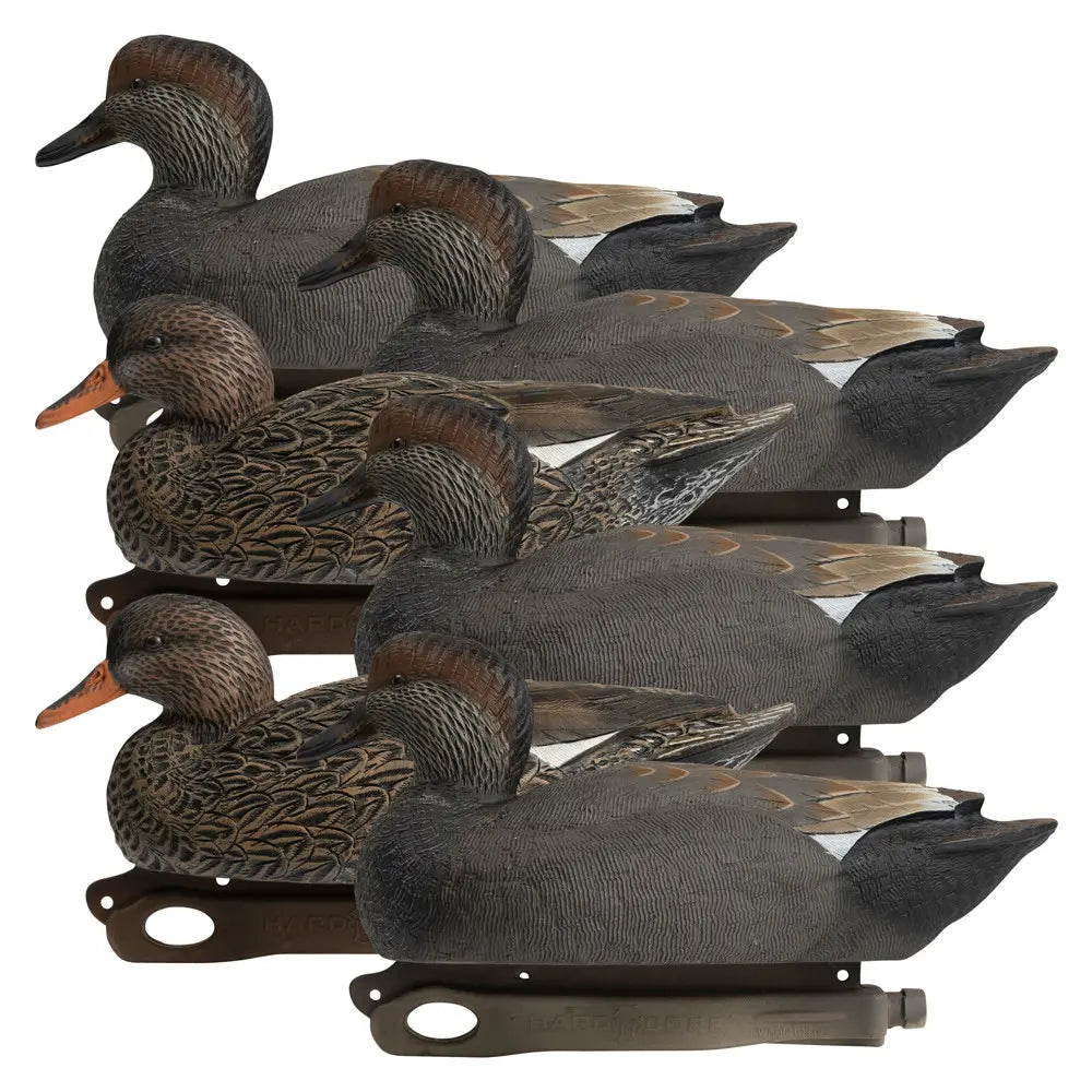 Ultimate Gadwall Decoy Set for Waterfowl Hunting - Korvel