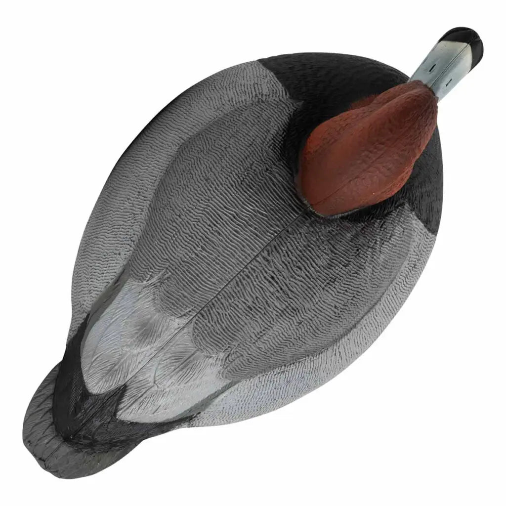 Decoys Redhead de la Serie Rugged – Rellenos de Espuma