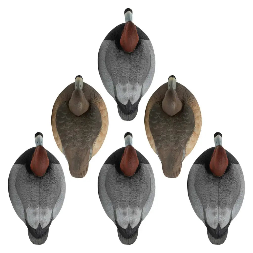 Decoys Redhead de la Serie Rugged – Rellenos de Espuma