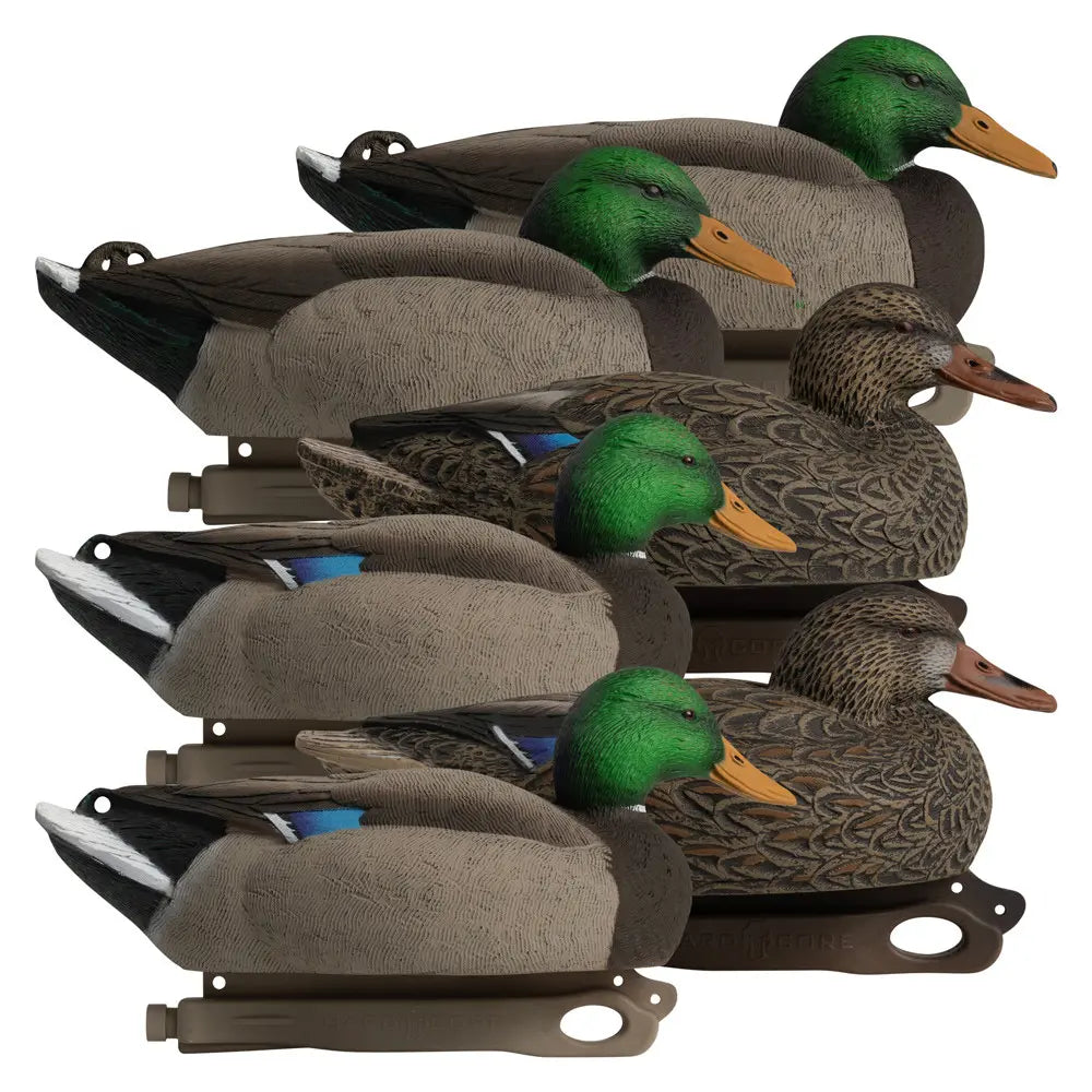 Canards Mallard Standard de la Série Rugged