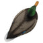 Canards Mallard Standard de la Série Rugged