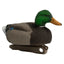 Canards Mallard Standard de la Série Rugged