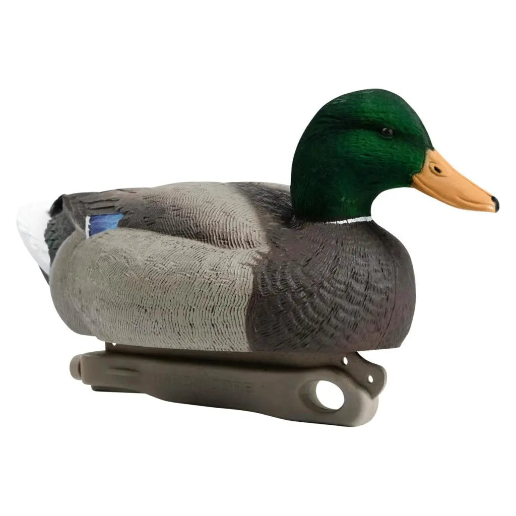 Canards flottants Mallard de la série Rugged – Têtes de drakes en feutre