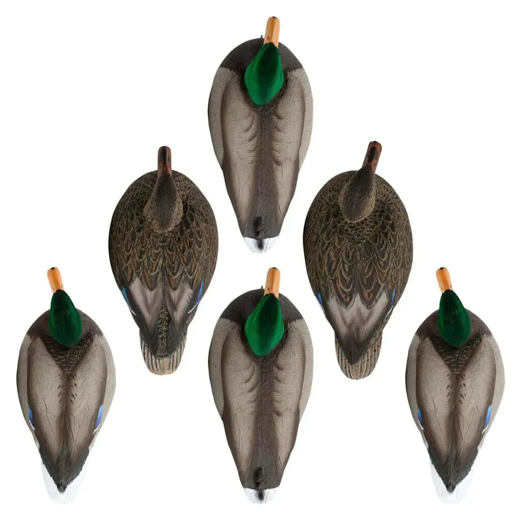 Canards flottants Mallard de la série Rugged – Têtes de drakes en feutre
