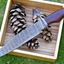 Wilderness Master: Premium Damascus Steel Bowie Knife with Rosewood Handle & Leather Sheath - Korvel