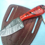 Artisan Crafted Damascus Steel Skinning Knife with Epoxy Resin Handle - Korvel