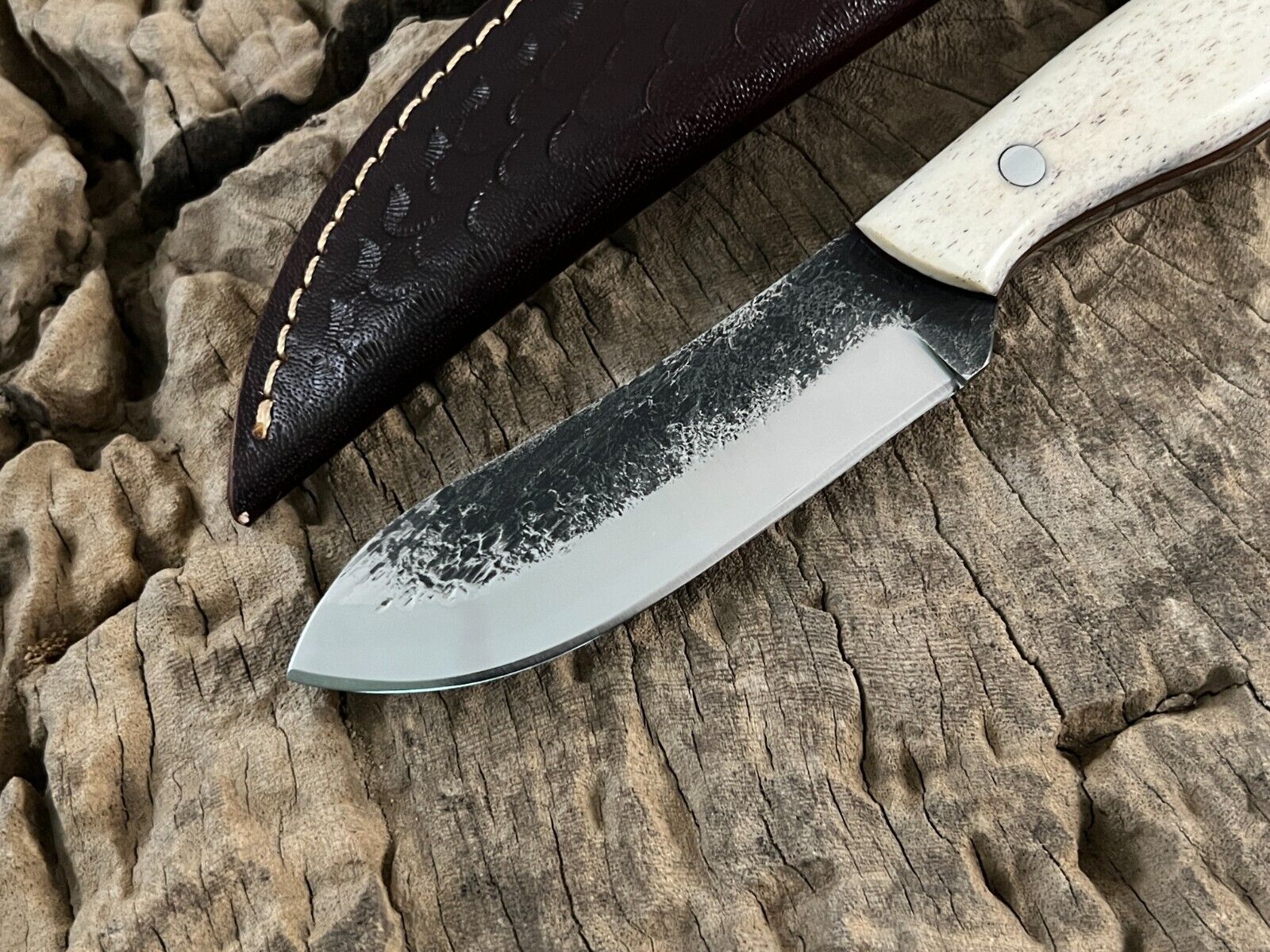 WildEdge Premium Bushcraft Knife – 8-Inch Survival Blade with Ergonomic Bone Handle - Korvel