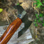 Handcrafted Damascus Steel Tomahawk Axe – The "Rosewood Warrior" - Korvel